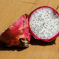 Foto Pitahaya 4