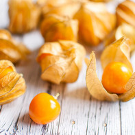 Foto physalis 2