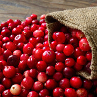 Ảnh cranberries 2