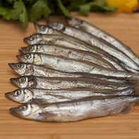 Capelin fotoğraf