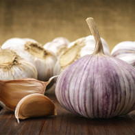 Fotoğraf garlic 4