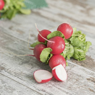 Radish photo 4