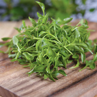 Watercress photo 5