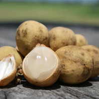 Photo de Longan fruit 4