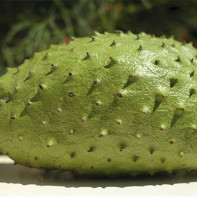 Foto di guanabana fruit 4