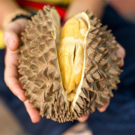 Fotoğraf durian 5