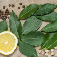 Photo of bay leaf