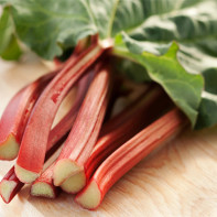 Foto de rhubarb