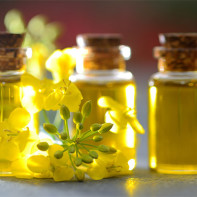 Photo of rapeseed oil 2