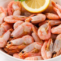 Photos de crevettes 2