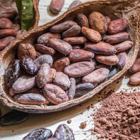 Photo of Cocoa Beans