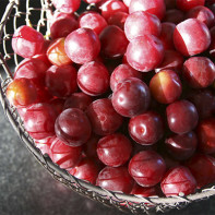 Foto di Cherry Plum 3