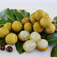 Foto av Longan frukt 2