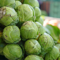 Brussels sprouts larawan 5