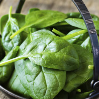 Fotoğraf spinach 4