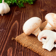 Foto-Champignons 3