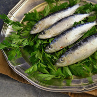 Photo sardines 5