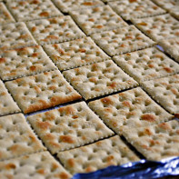 Galletas de fotos 5