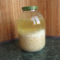 Foto kvass dari oat