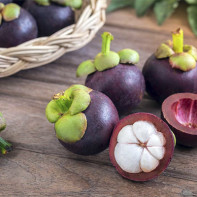 Photo mangosteen 4