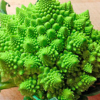 Foto kupus romanesco 2