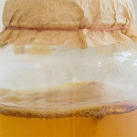 Foto Kombucha 5