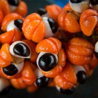 Fotoğraf Guarana 5