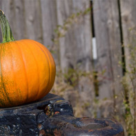 Foto de calabaza