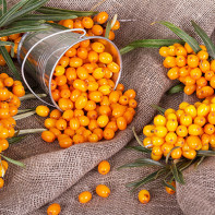 Photo of sea buckthorn 3