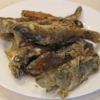 Photo of rotan fish 3