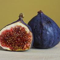 Photo des figues 2