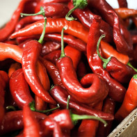 Photo of hot red pepper 2