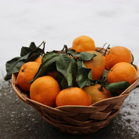 Fotoğraf tangerines