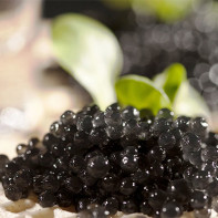 Foto de caviar negre