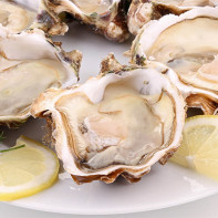 Foto-oesters 2