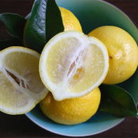 Foto de limones 4