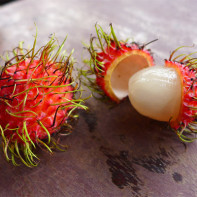 Fotó rambutan 2