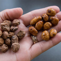 Fotoğraf Chuf Groundnut 3