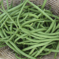 Larawan ng String Beans 5