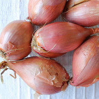 Larawan ng shallots 2