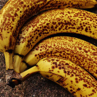 Pisang gambar 5