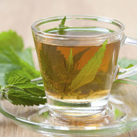 Larawan ng nettle tea