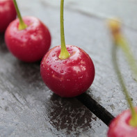 Cherry 4 foto