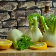 Foto Fenchel 4