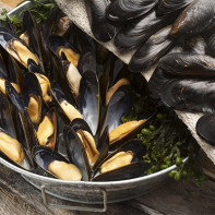 Photo de moules 5