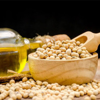 Photo soybean oil 4