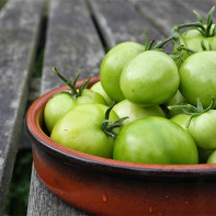 Foto van groene tomaten 2