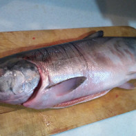 Foto de peixe chum salmon