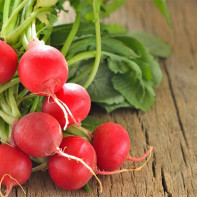 Radish photo