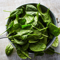 Photo of spinach 3